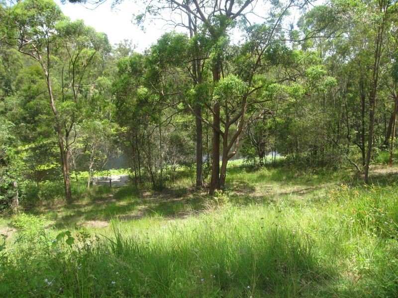 41 Jenkins Court, Upper Coomera QLD 4209