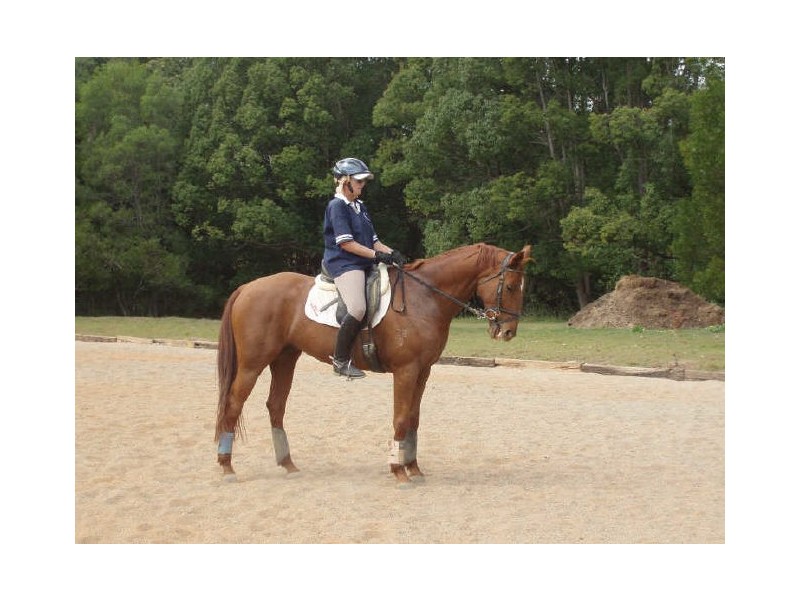 37 Ruffles Road, Willow Vale QLD 4209