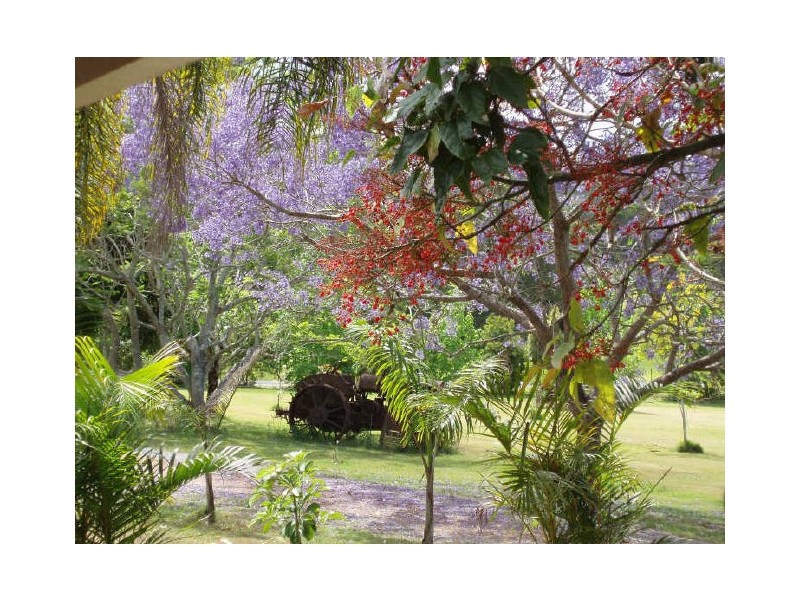 37 Ruffles Road, Willow Vale QLD 4209