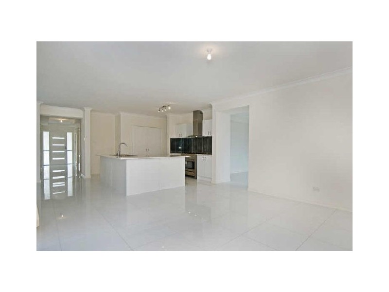 14 Cabriolet Court, Upper Coomera QLD 4209