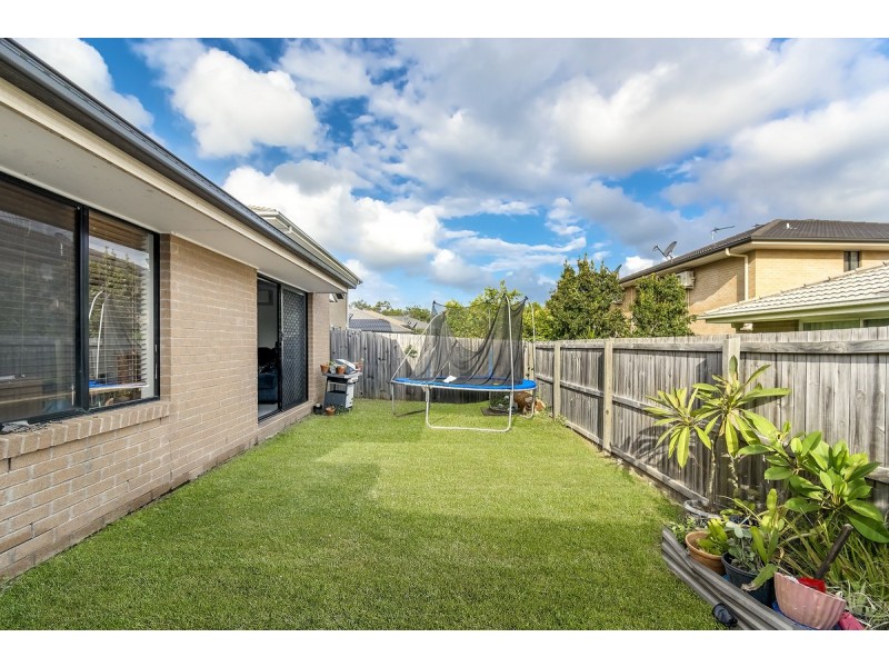 11 Lilly Pilly Drive, Coomera QLD 4209