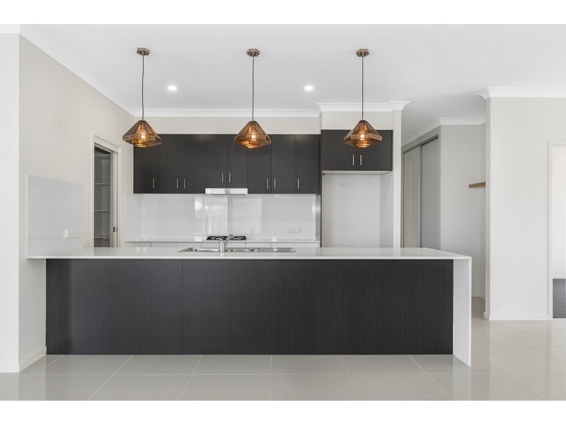 21 Whimbrel Avenue, Upper Coomera QLD 4209