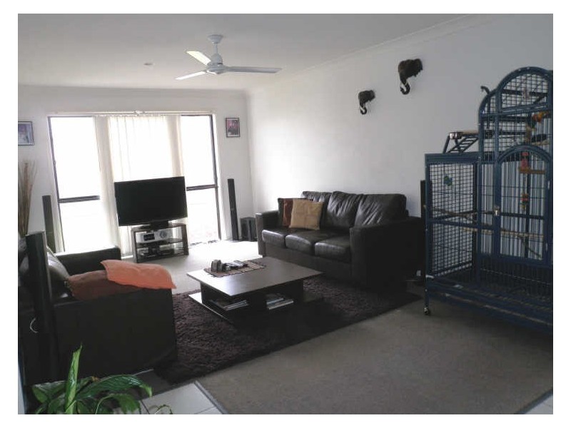 3 Bluefen Court, Upper Coomera QLD 4209