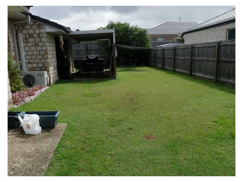 3 Bluefen Court, Upper Coomera QLD 4209