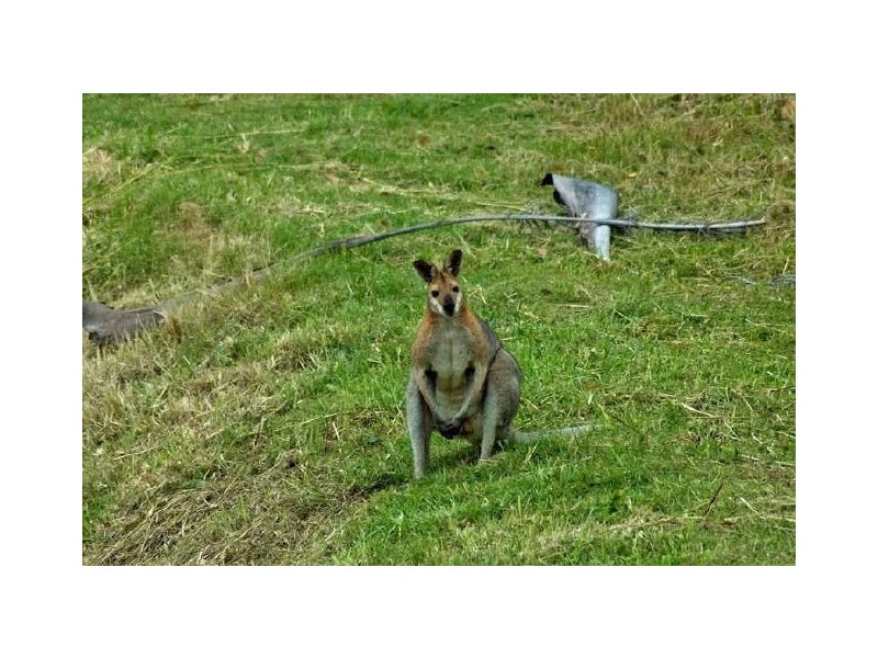 1044/6 Crestridge Crescent, Oxenford QLD 4210