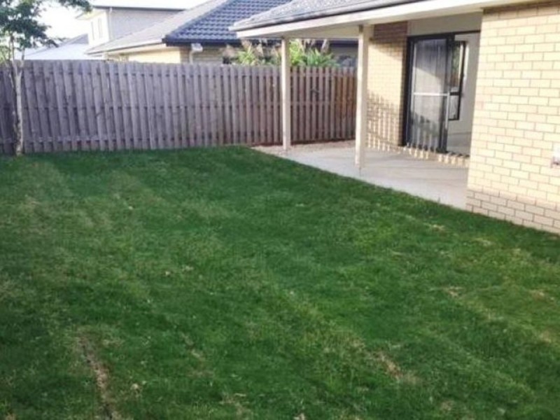 38 William Boulevard, Pimpama QLD 4209
