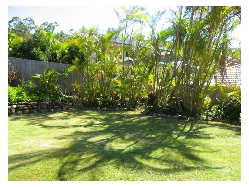 8 Pitt Street, Upper Coomera QLD 4209