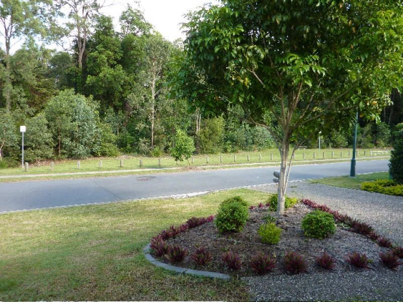 53 Mada Drive, Upper Coomera QLD 4209
