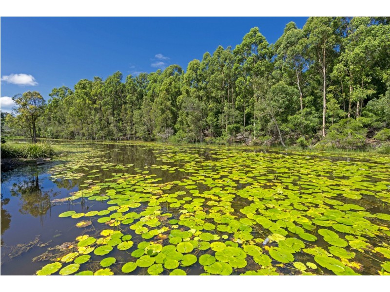 13 Park Esplanade, Coomera QLD 4209