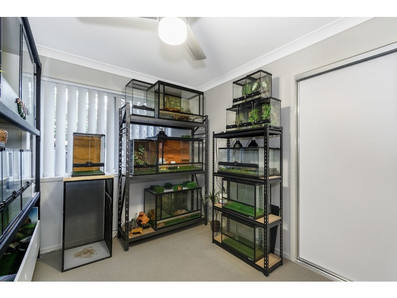 1/12 Isetta Court, Upper Coomera QLD 4209