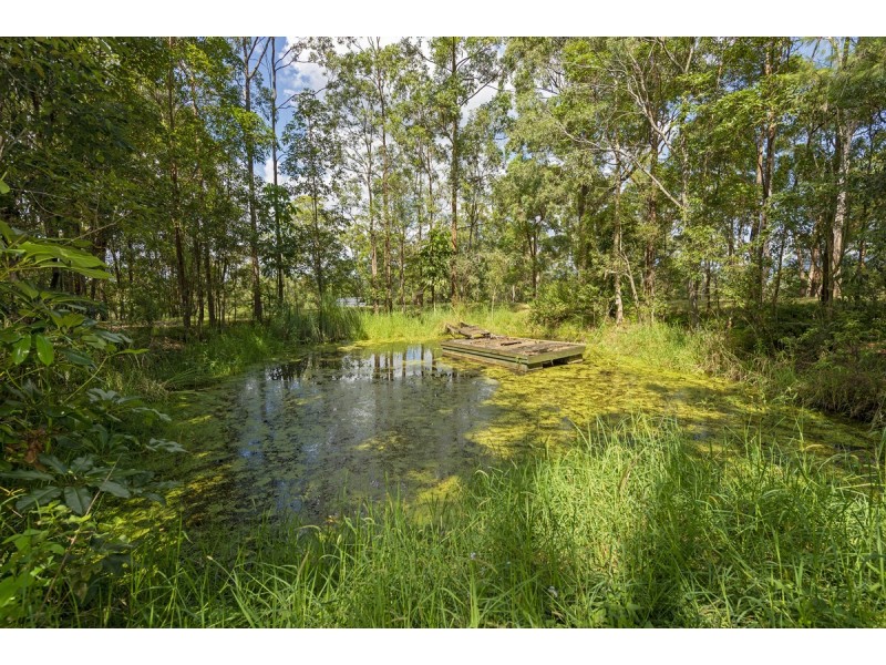 175 Brygon Creek Drive, Upper Coomera QLD 4209