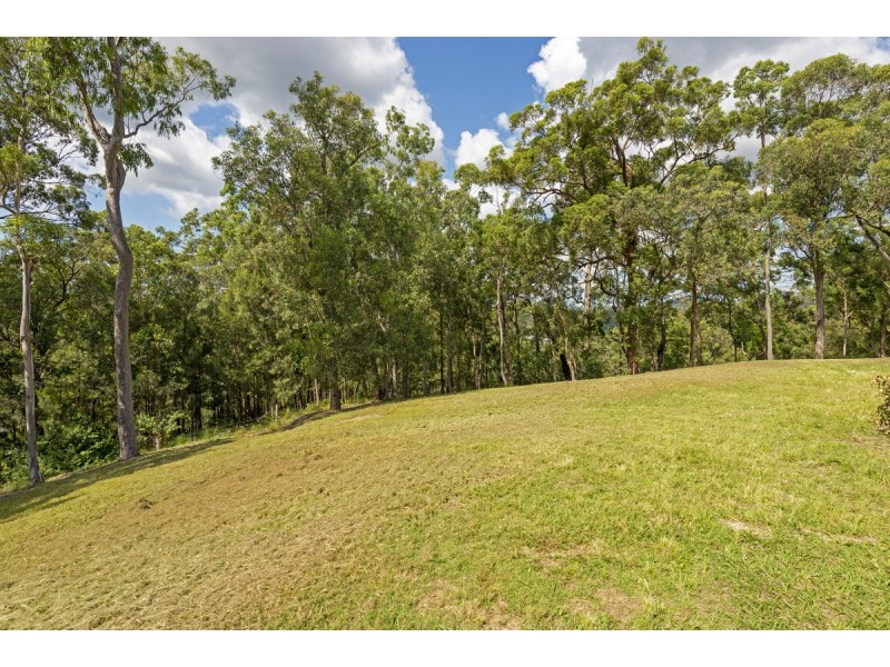 175 Brygon Creek Drive, Upper Coomera QLD 4209