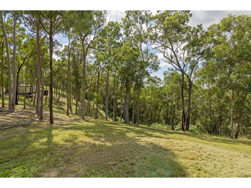 175 Brygon Creek Drive, Upper Coomera QLD 4209