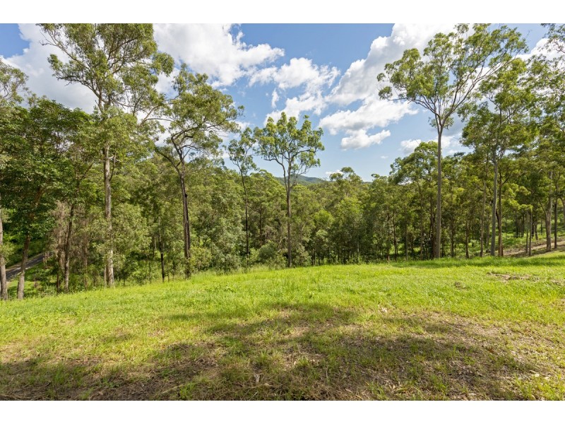 175 Brygon Creek Drive, Upper Coomera QLD 4209