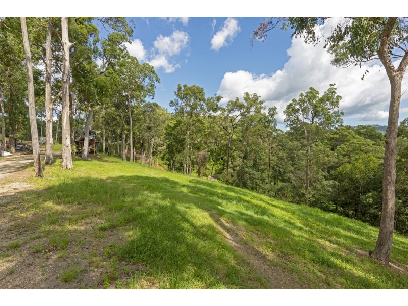 175 Brygon Creek Drive, Upper Coomera QLD 4209
