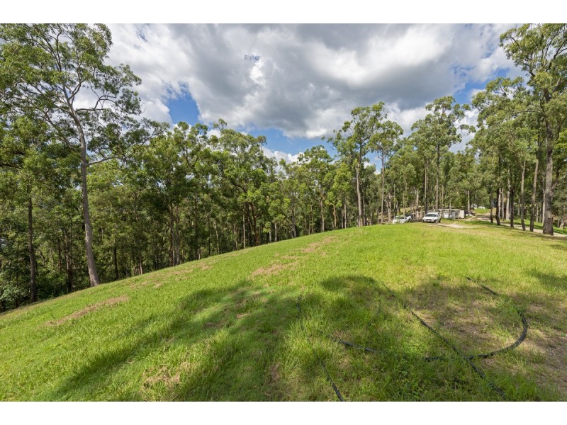 175 Brygon Creek Drive, Upper Coomera QLD 4209