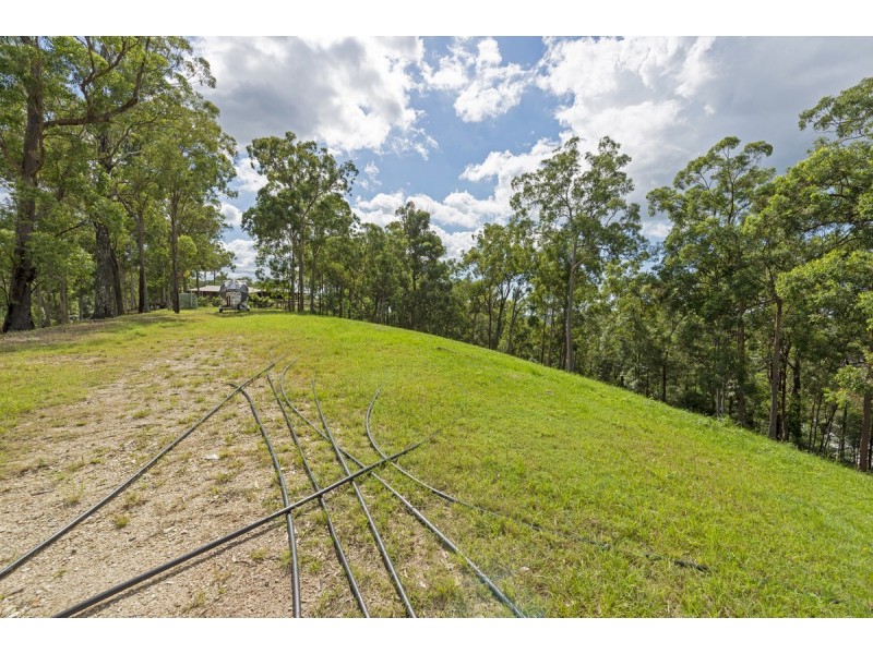 175 Brygon Creek Drive, Upper Coomera QLD 4209
