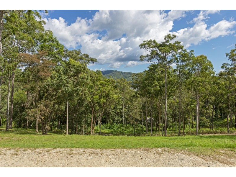 175 Brygon Creek Drive, Upper Coomera QLD 4209