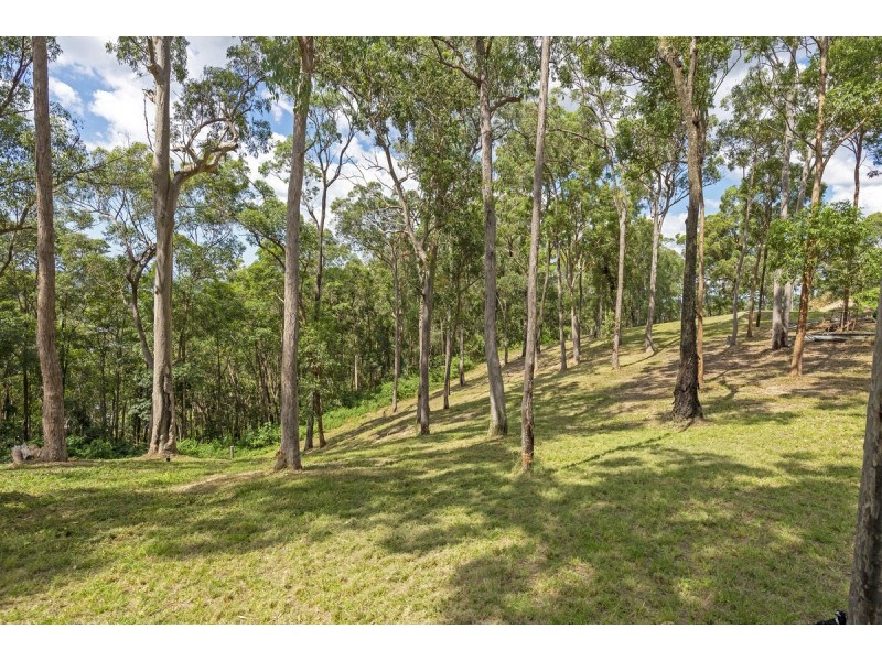 175 Brygon Creek Drive, Upper Coomera QLD 4209