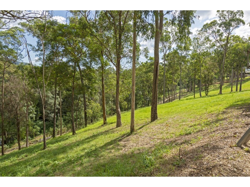 175 Brygon Creek Drive, Upper Coomera QLD 4209