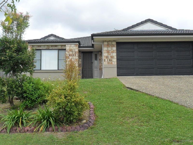 3 Bluefen Court, Upper Coomera QLD 4209