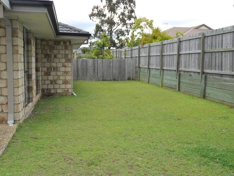 3 Bluefen Court, Upper Coomera QLD 4209