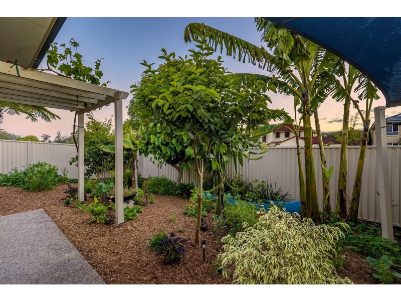 19 Nightjar Drive, Upper Coomera QLD 4209