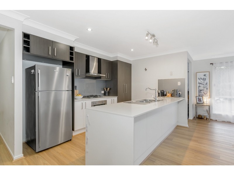 14 Cypress Circuit, Coomera QLD 4209
