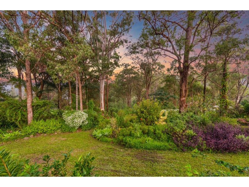 8 Redwood Street, Upper Coomera QLD 4209