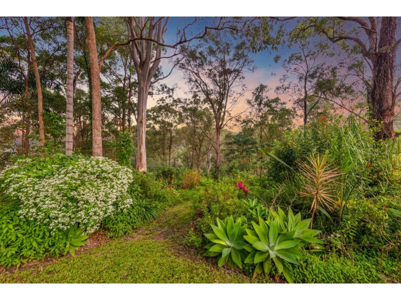 8 Redwood Street, Upper Coomera QLD 4209