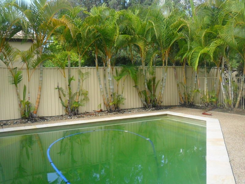 1 Taryn Court, Upper Coomera QLD 4209