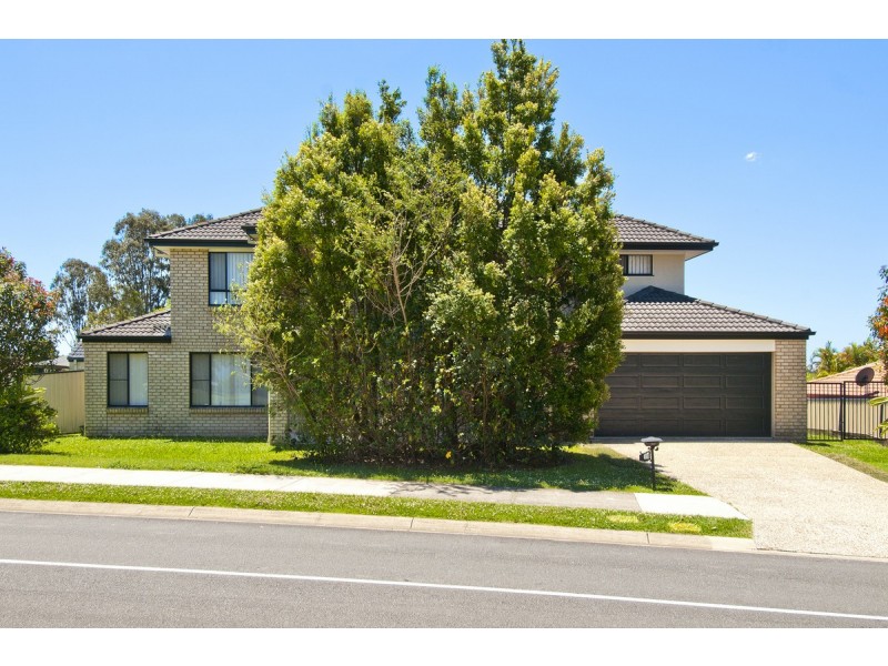 17 Bushgum Crescent, Upper Coomera QLD 4209