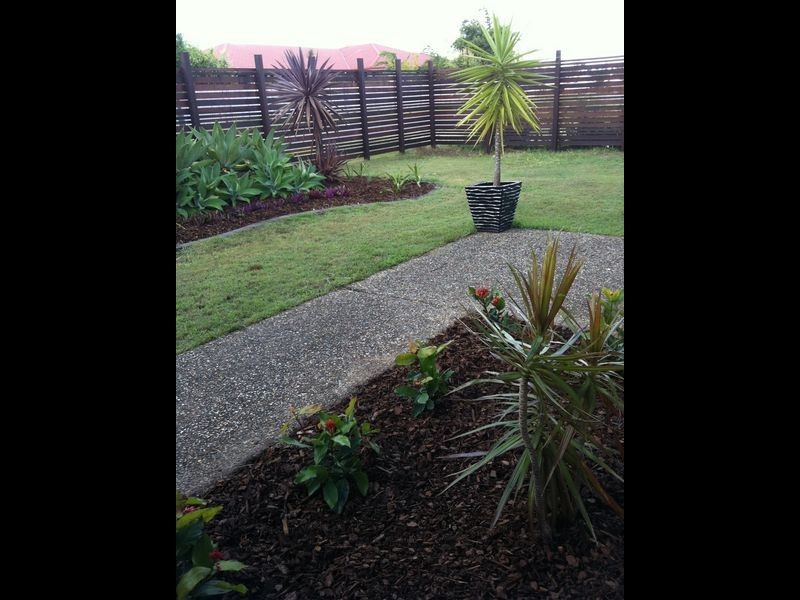 3 Sundew Crescent, Upper Coomera QLD 4209