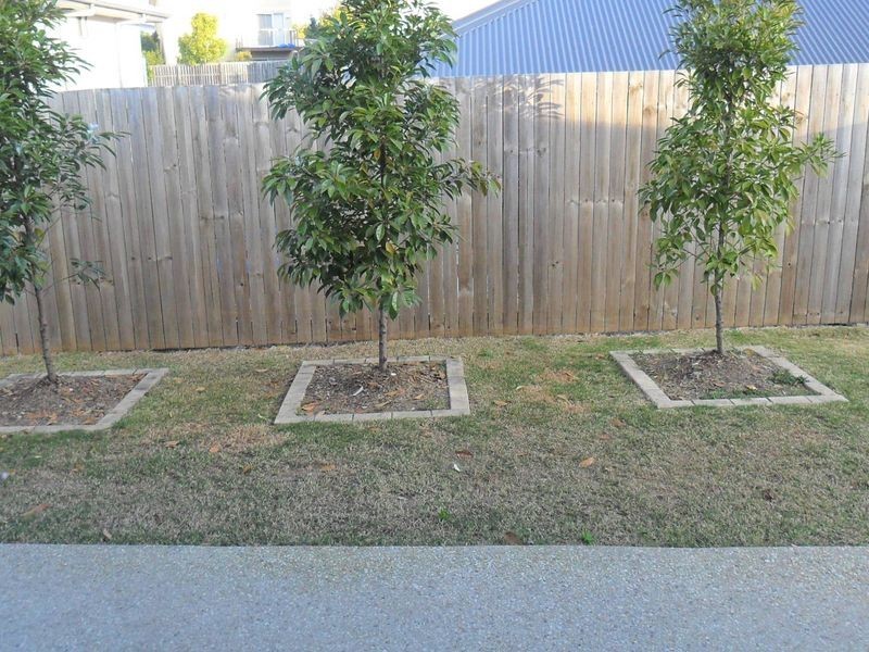 2/22 Filbert Street, Upper Coomera QLD 4209