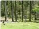 33 Shane Road, Willow Vale QLD 4209
