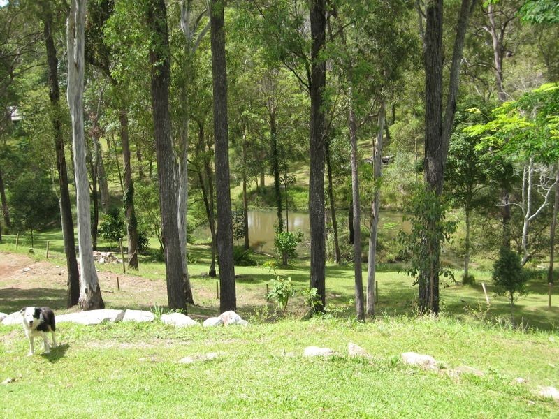 33 Shane Road, Willow Vale QLD 4209