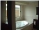 17 Elusive Road, Coomera Waters QLD 4209