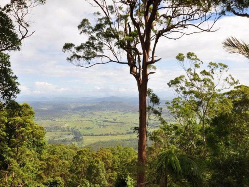 242 Beacon Road, Tamborine Mountain QLD 4272