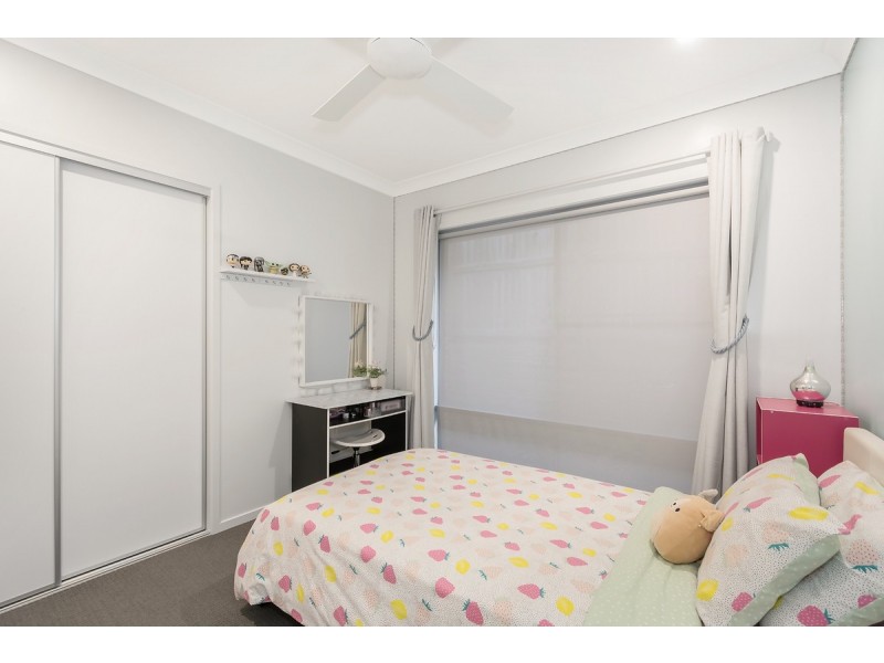 19 Red Gum Terrace, Coomera QLD 4209