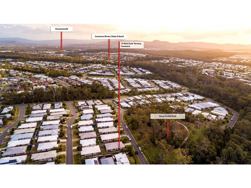 19 Red Gum Terrace, Coomera QLD 4209