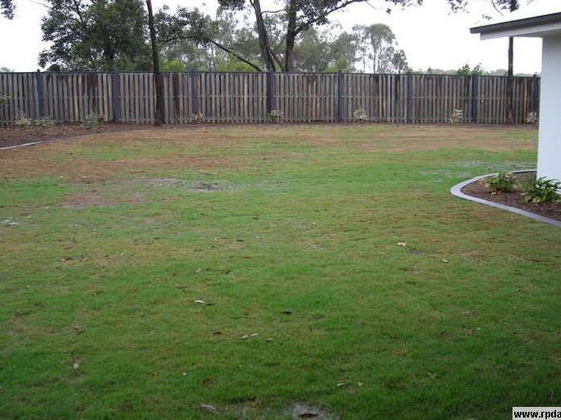 44 Boambillee Drive, Coomera QLD 4209