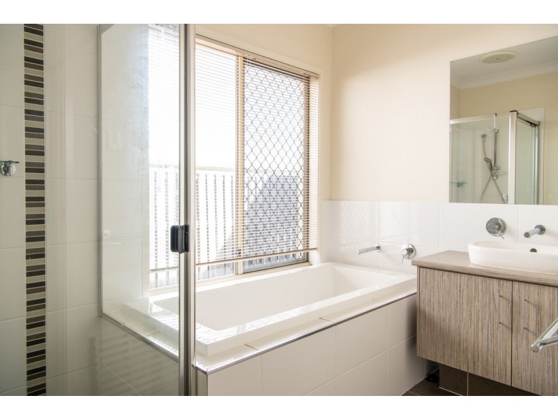 17 Severn Street, Coomera QLD 4209