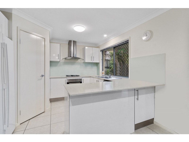 19 Cypress Circuit, Coomera QLD 4209