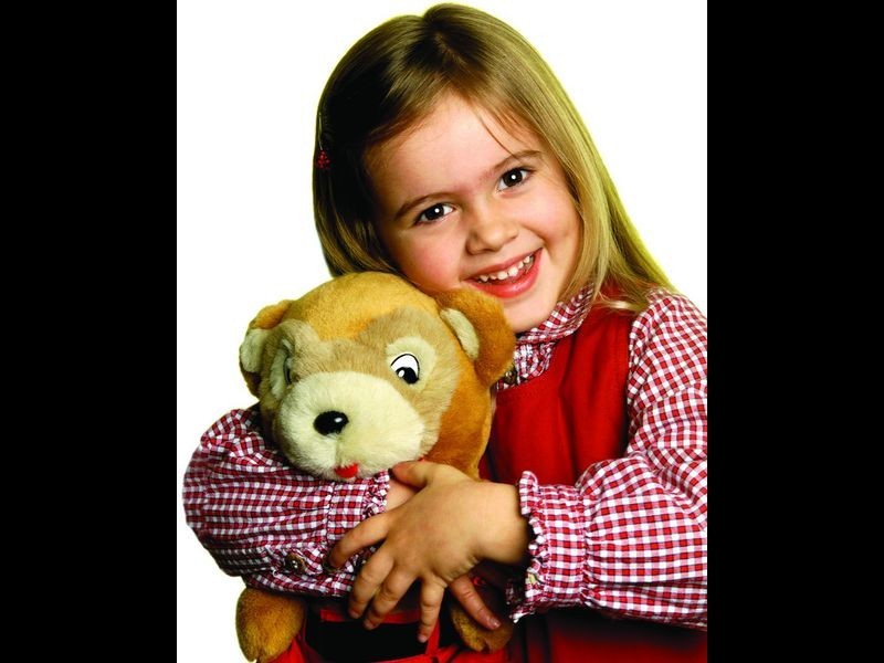 34 Candlebark Circuit, Upper Coomera QLD 4209