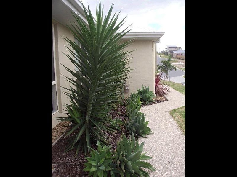 10 Barrington Street, Upper Coomera QLD 4209