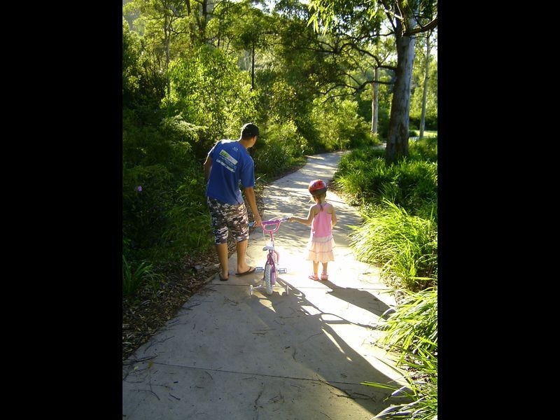 92 Treeline Circuit, Upper Coomera QLD 4209