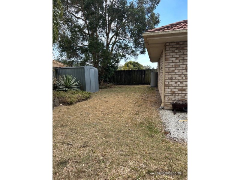 23 Bluetail Crescent, Upper Coomera QLD 4209