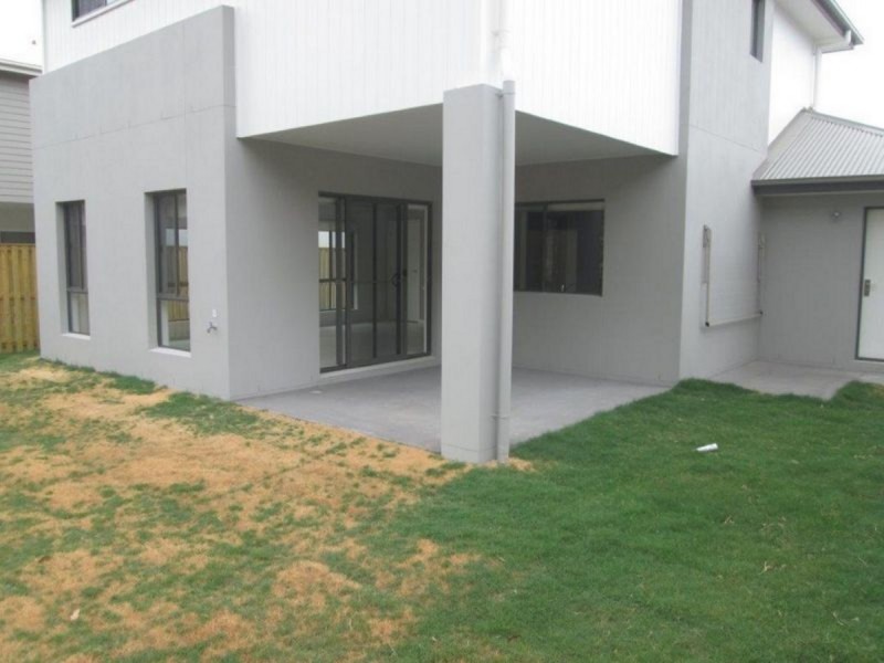 16 Gannet Place, Upper Coomera QLD 4209