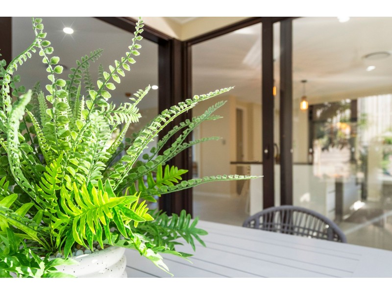 21 Rundle Avenue, Pimpama QLD 4209