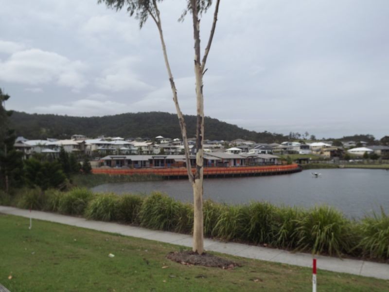 58 Macleay Circuit, Upper Coomera QLD 4209